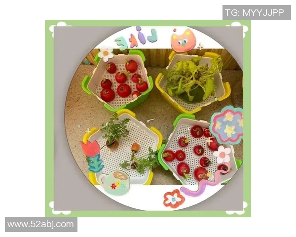 萝卜最长控制的奥秘与实践探索之路